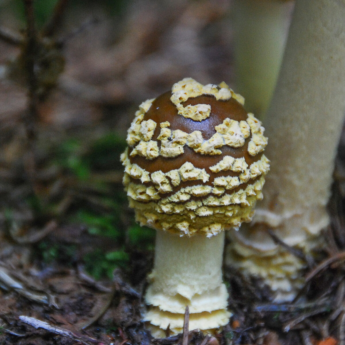 DSC_000064