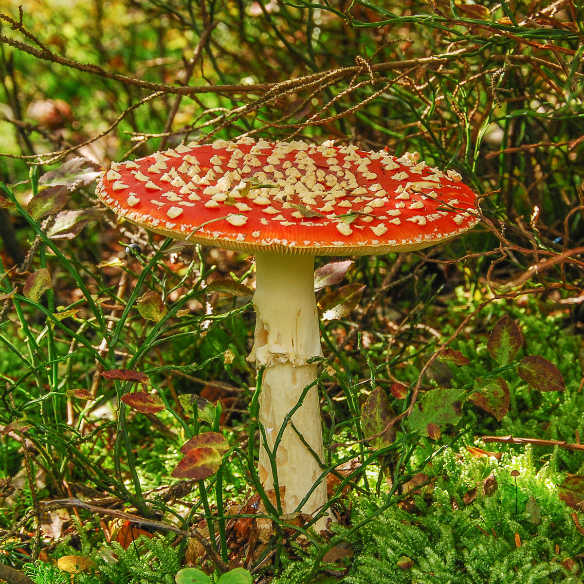 DSC_0139