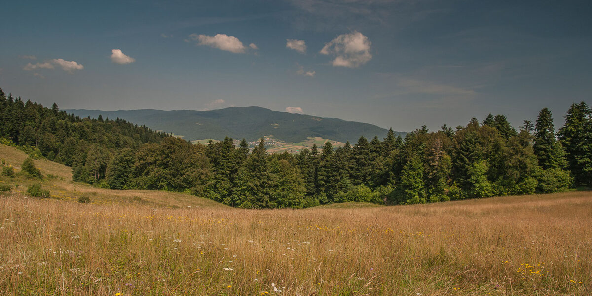 11sierpien_pieniny_oboz_0285