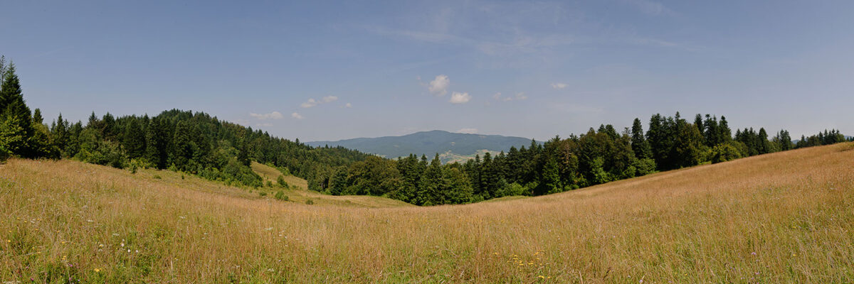 11sierpien_pieniny_oboz_0329_Panorama