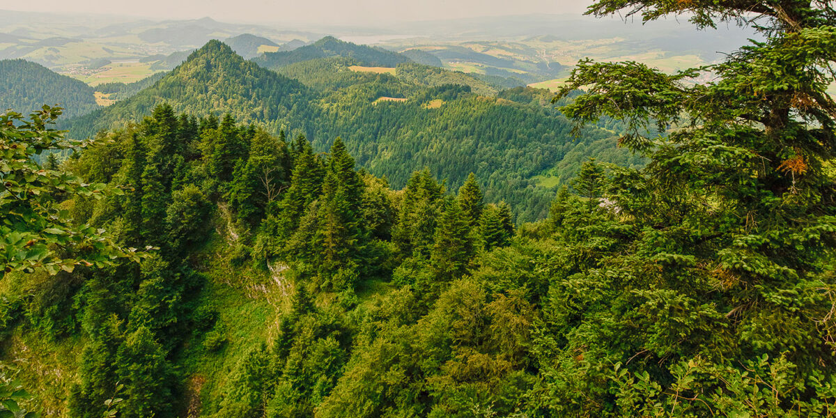 11sierpien_pieniny_oboz_0398_Panorama