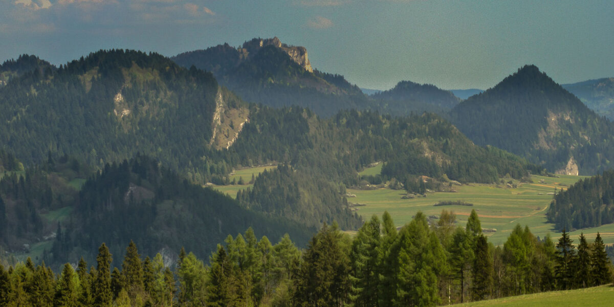 12maj_spisz_0117_6_5