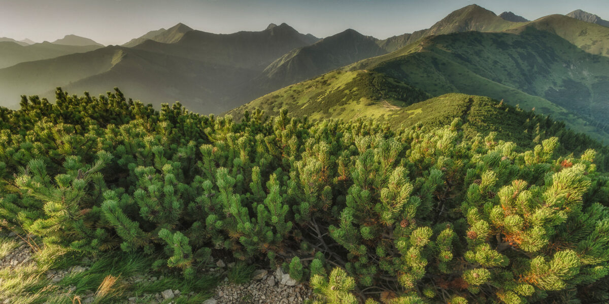12sierpien_tatry-zachodnie_0406