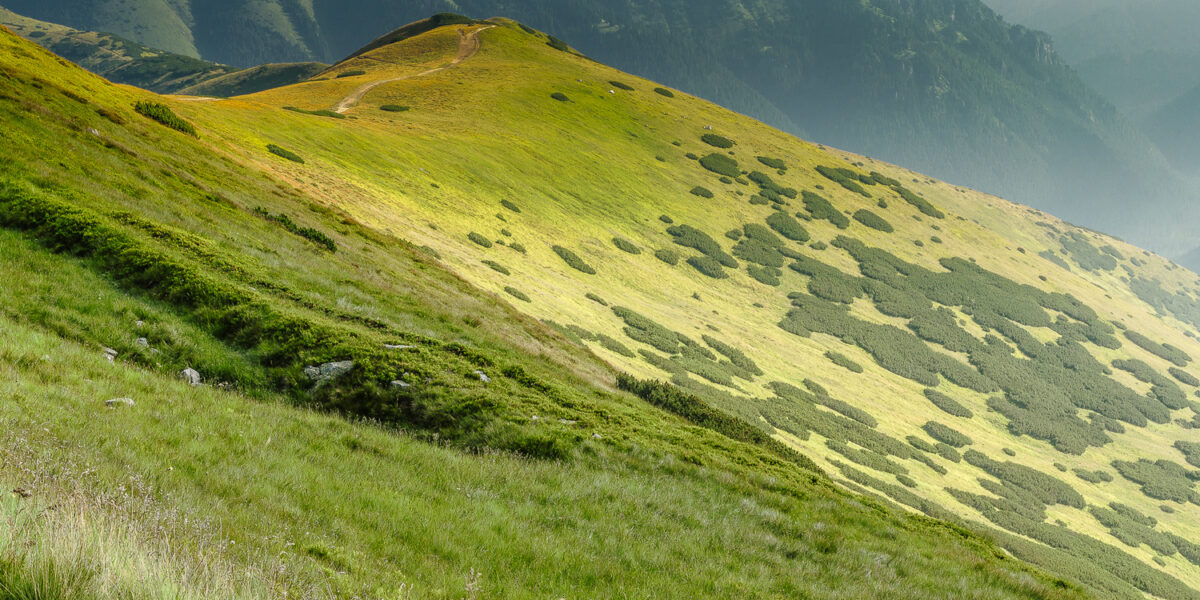 12sierpien_tatry-zachodnie_0408