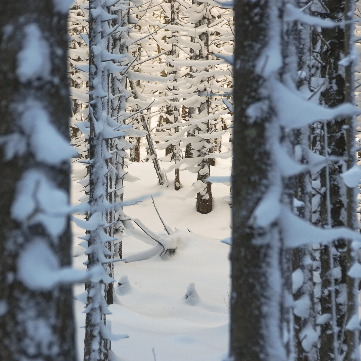 tatry_I (3)