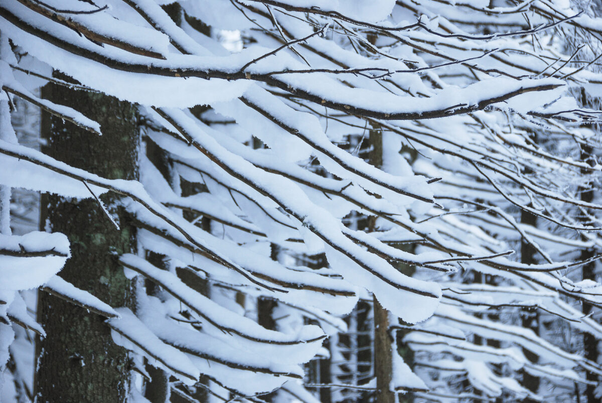 tatry_I (4)