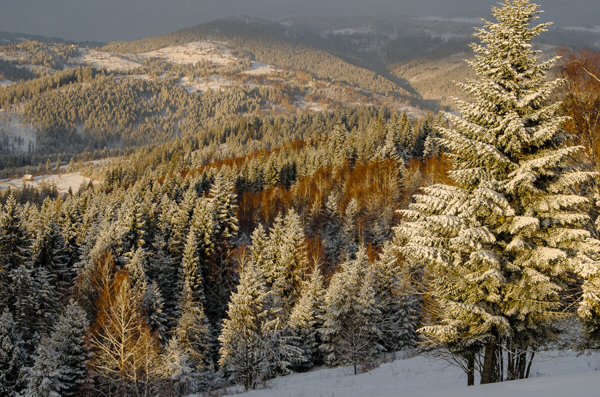 11grudzien_kubiesowka_sylwester_0089