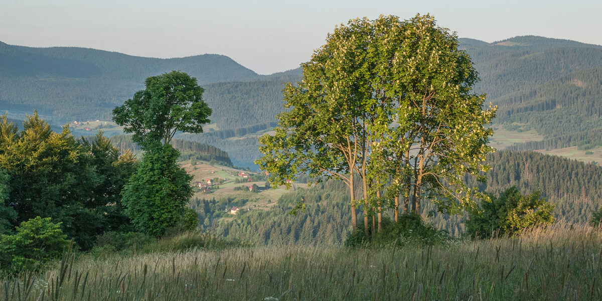 11lipiec_kubiesowka_0372
