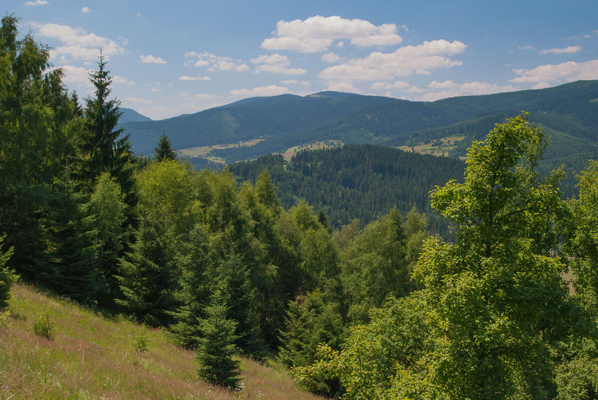 11lipiec_kubiesowka_0639