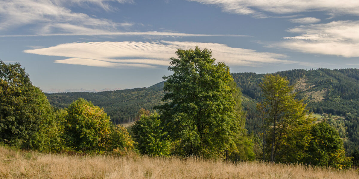 11pazdziernik_kubiesowka_0133