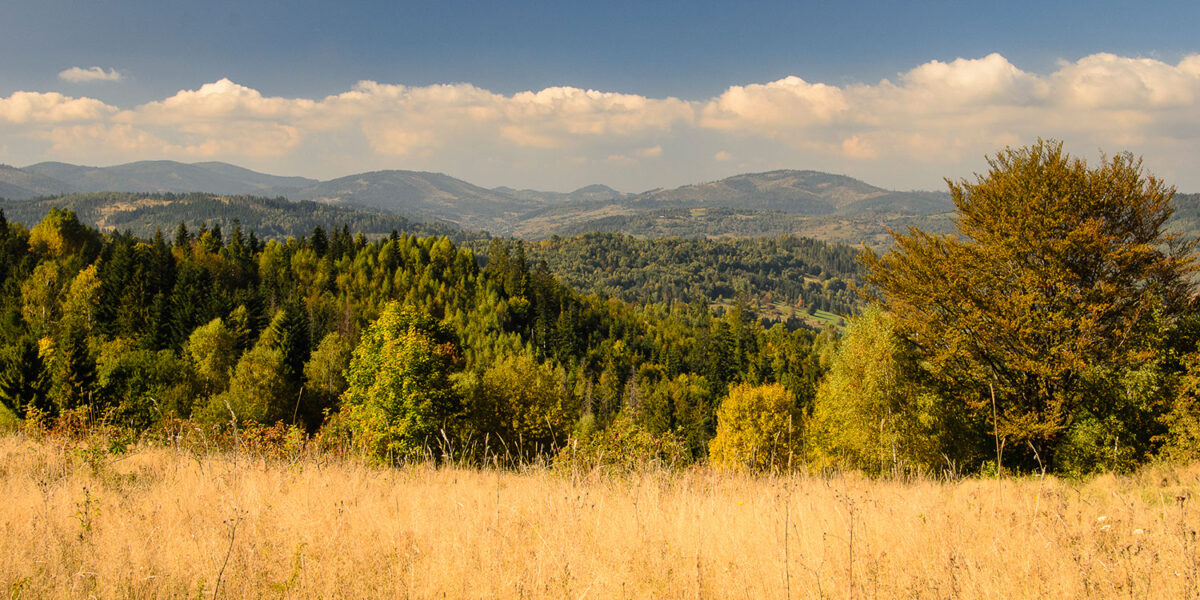 11pazdziernik_kubiesowka_0279