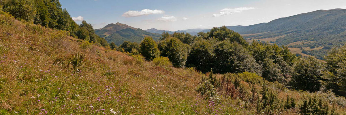 11sierpien_oboz_bieszczady_0697_Panorama