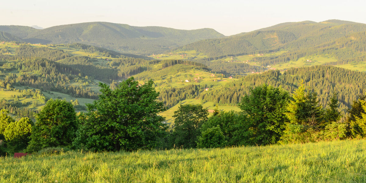 12maj_plener_0025