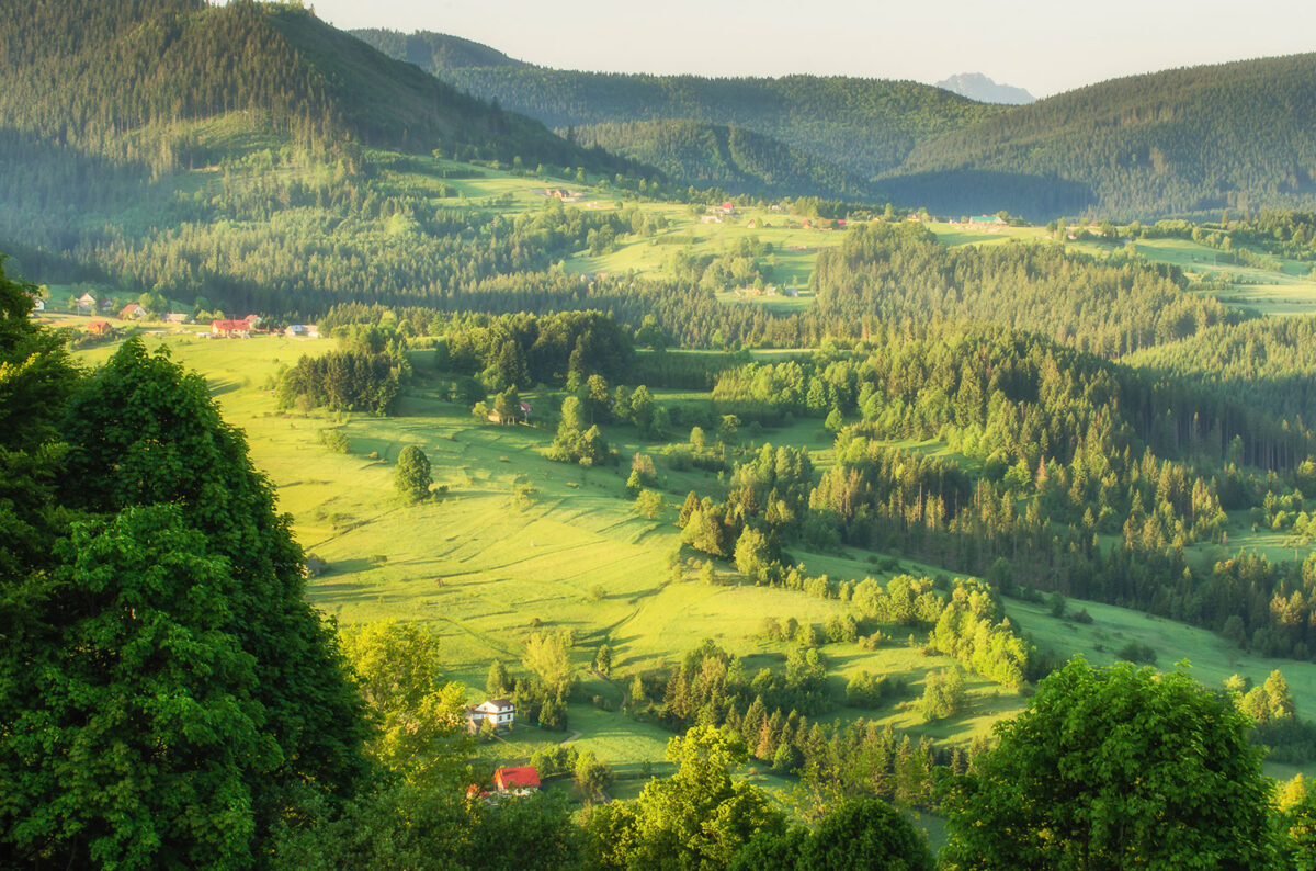 Fotografia z galerii „Beskidy”
