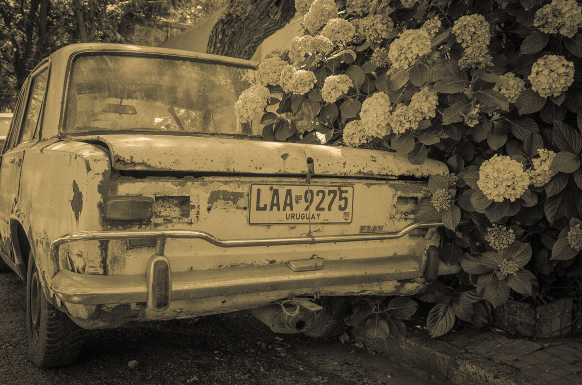 13listopad_am-pol_k_2499-2079