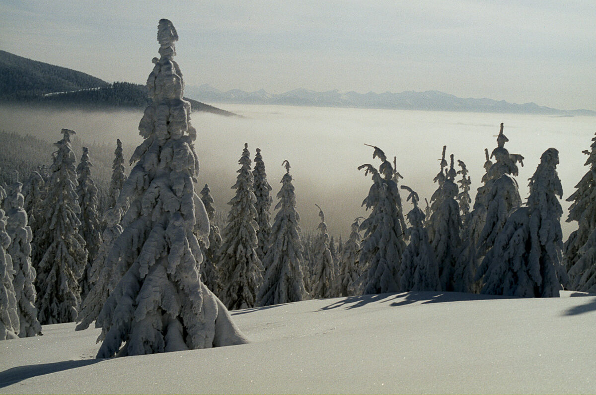 2004-02---Rysianka_(15)