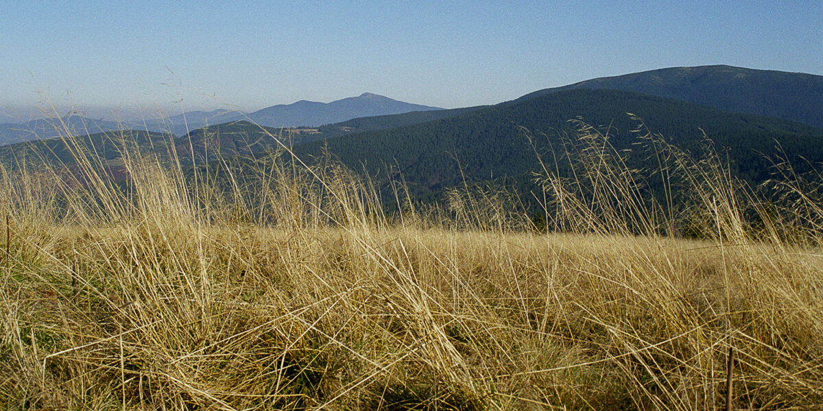 2004-02---Rysianka_(2)