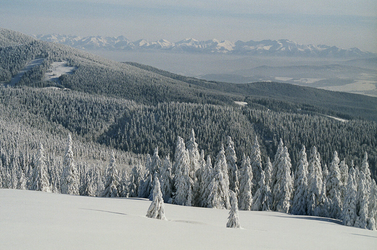 2004-02---Rysianka_(4)