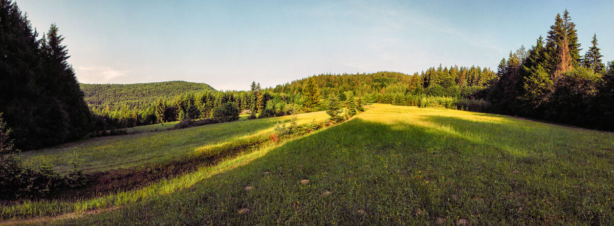 DSC_0001_Panorama