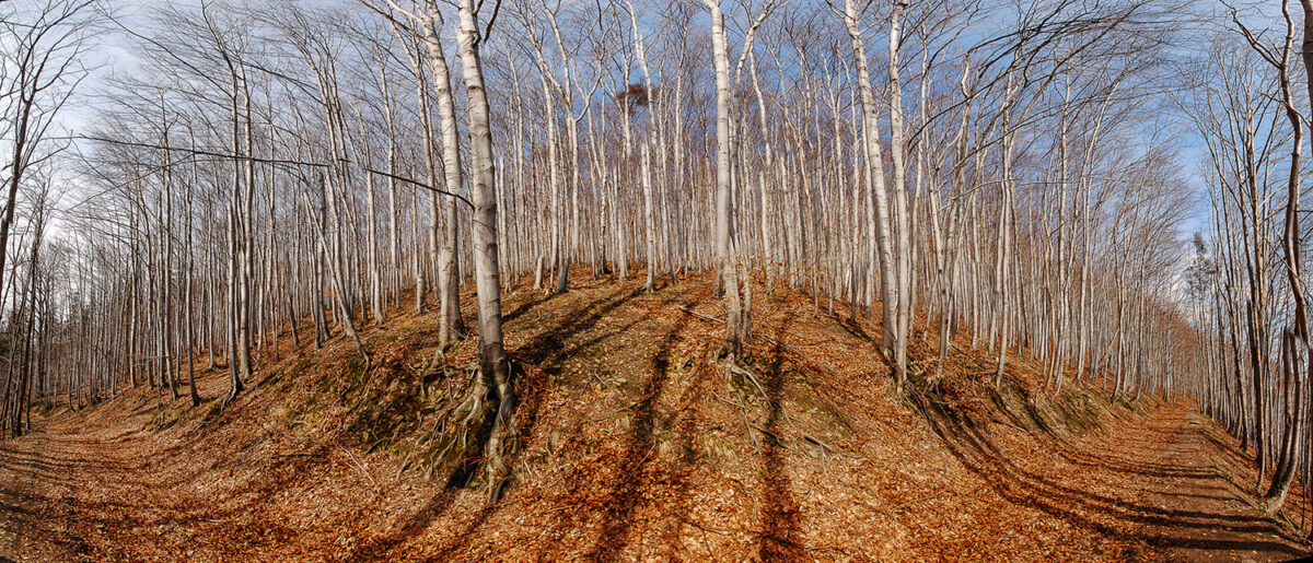 DSC_0031_Panorama
