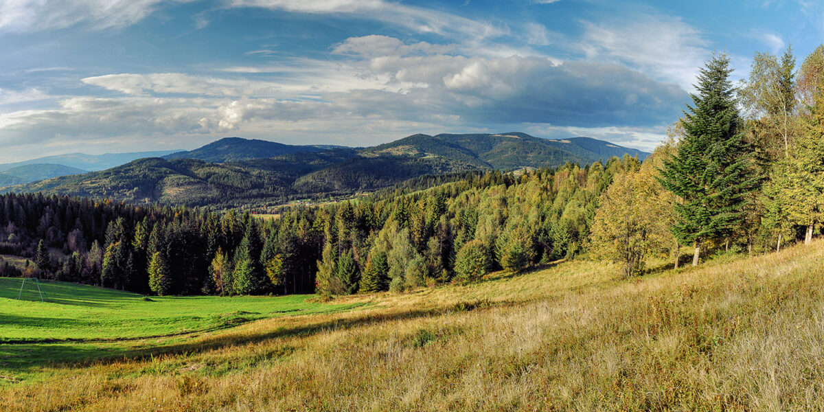 DSC_0366_Panorama