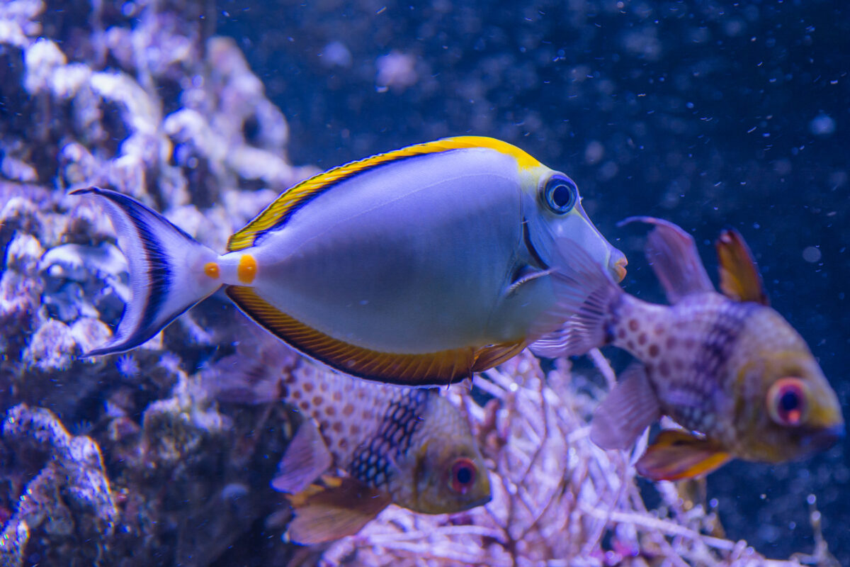15czerwiec_zoo-wroclaw_0118