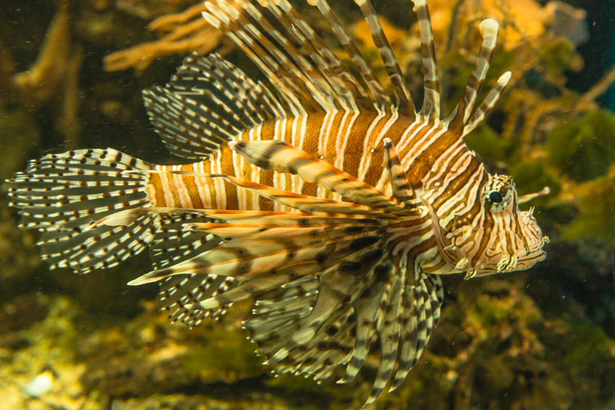 15czerwiec_zoo-wroclaw_0153