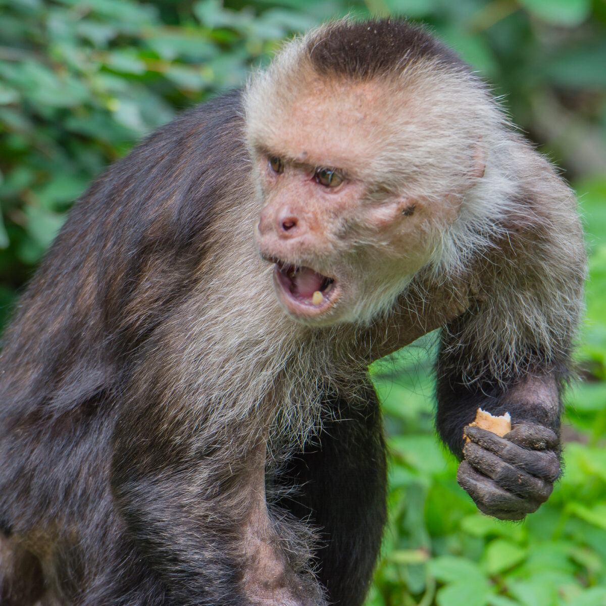 15czerwiec_zoo-wroclaw_0266