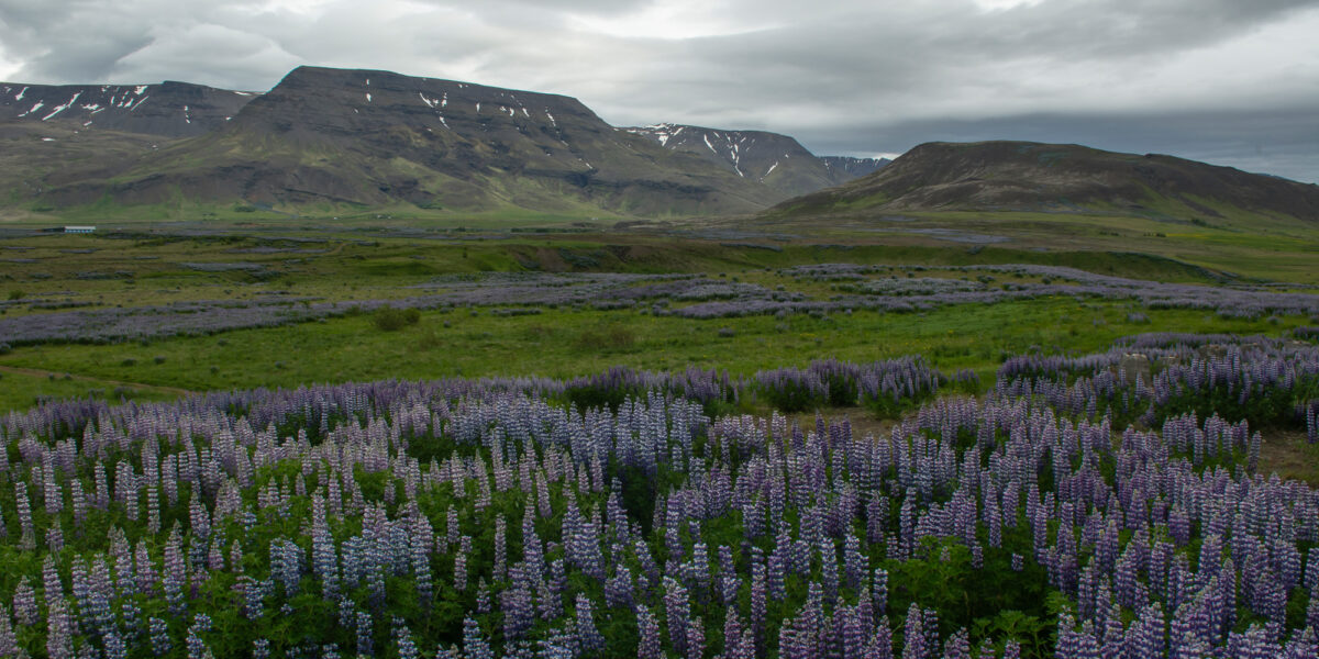 15lipiec_islandia_0072