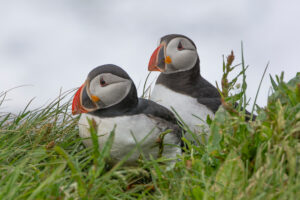 15lipiec_islandia_0682