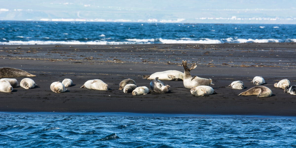 15lipiec_islandia_2286