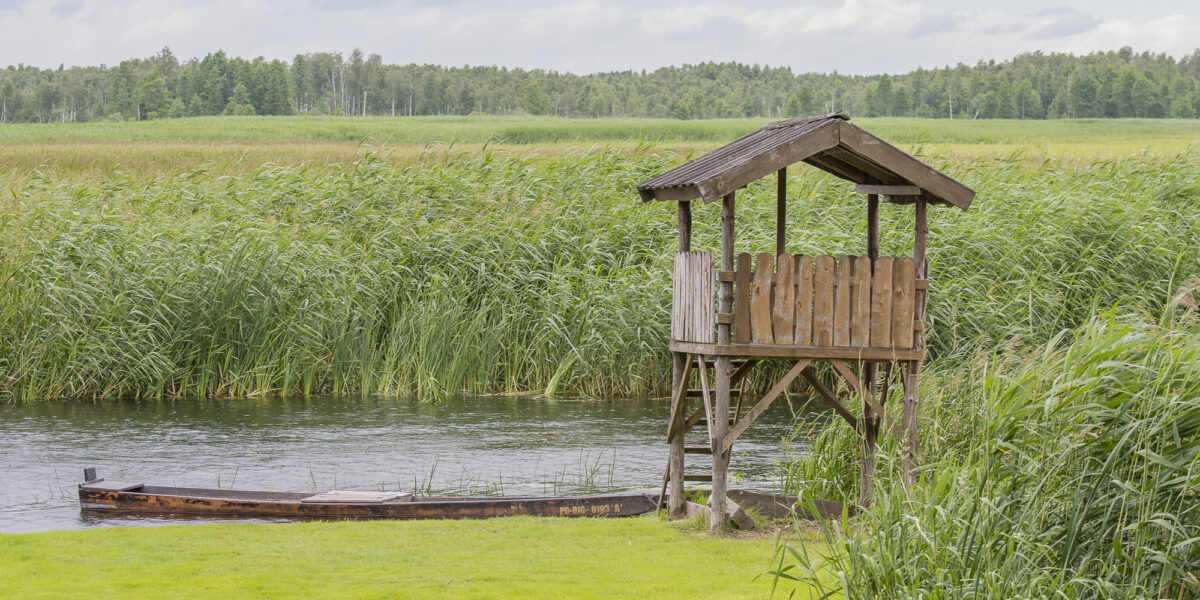 17czerwiec_biebrza_0037