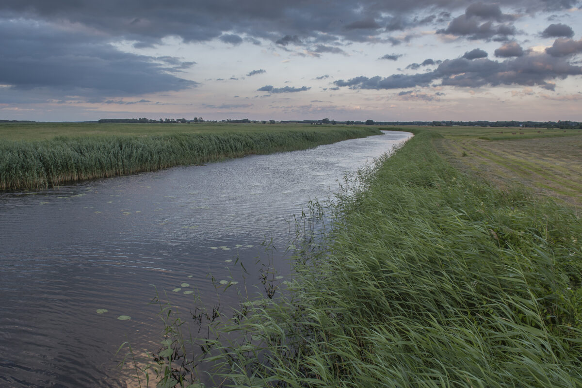 17czerwiec_biebrza_0294