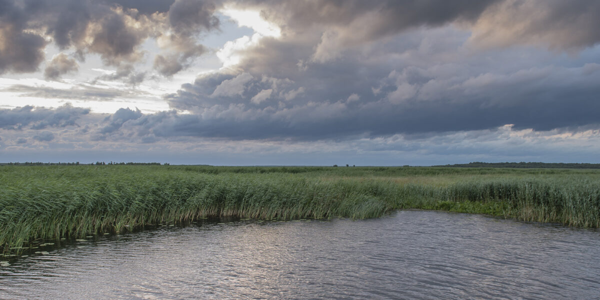 17czerwiec_biebrza_0296