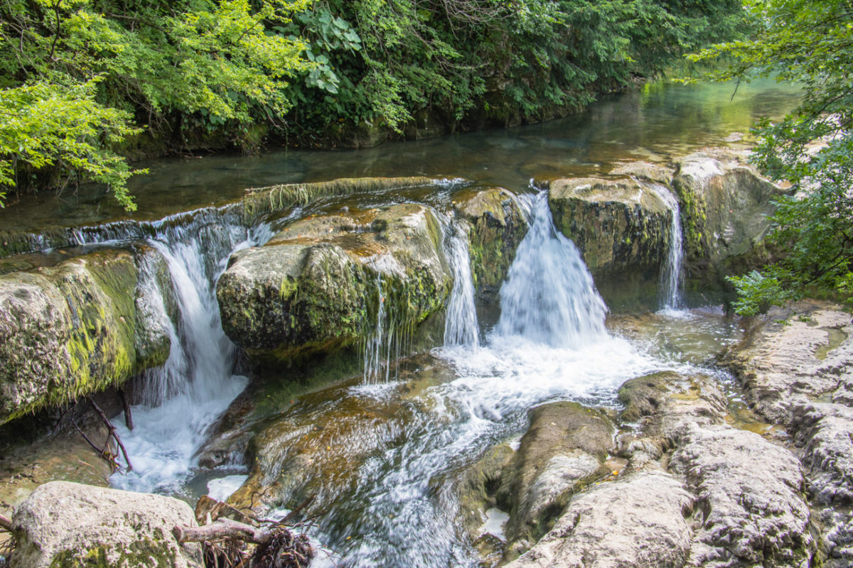 19sierpień_gruzja_0054