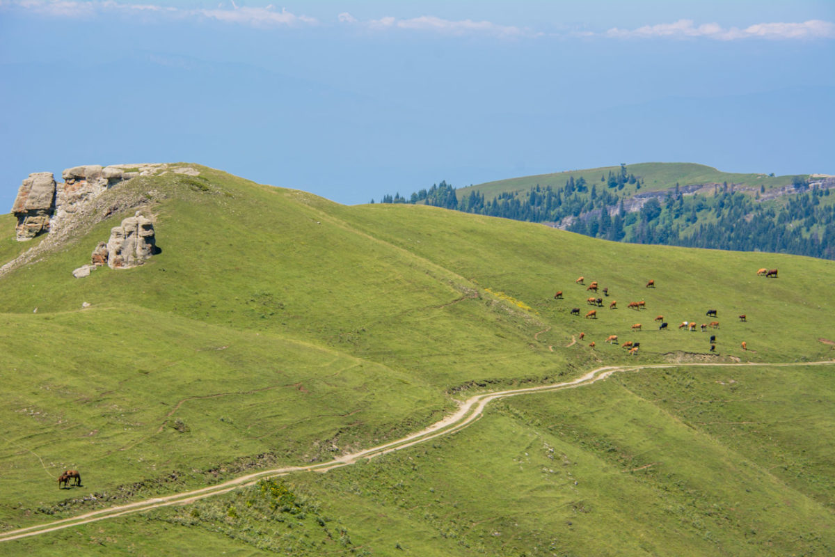 19sierpień_gruzja_0506