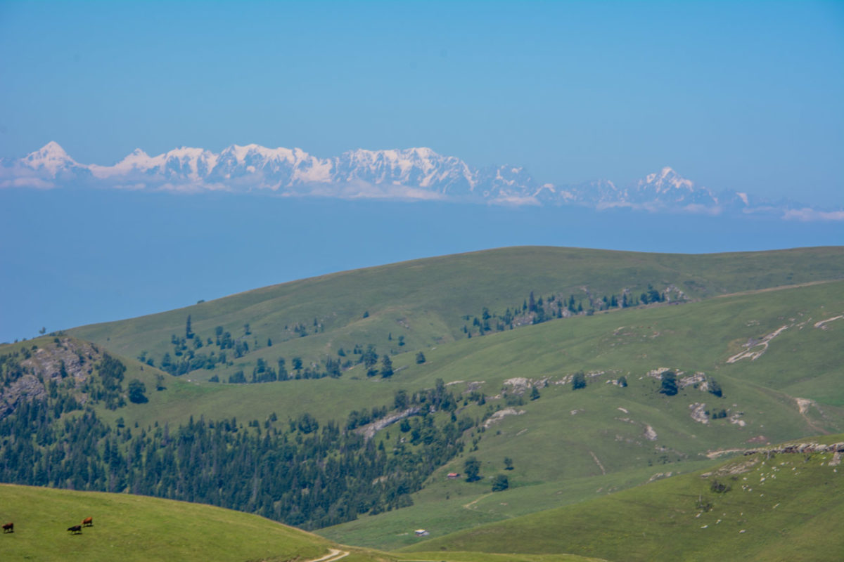19sierpień_gruzja_0507