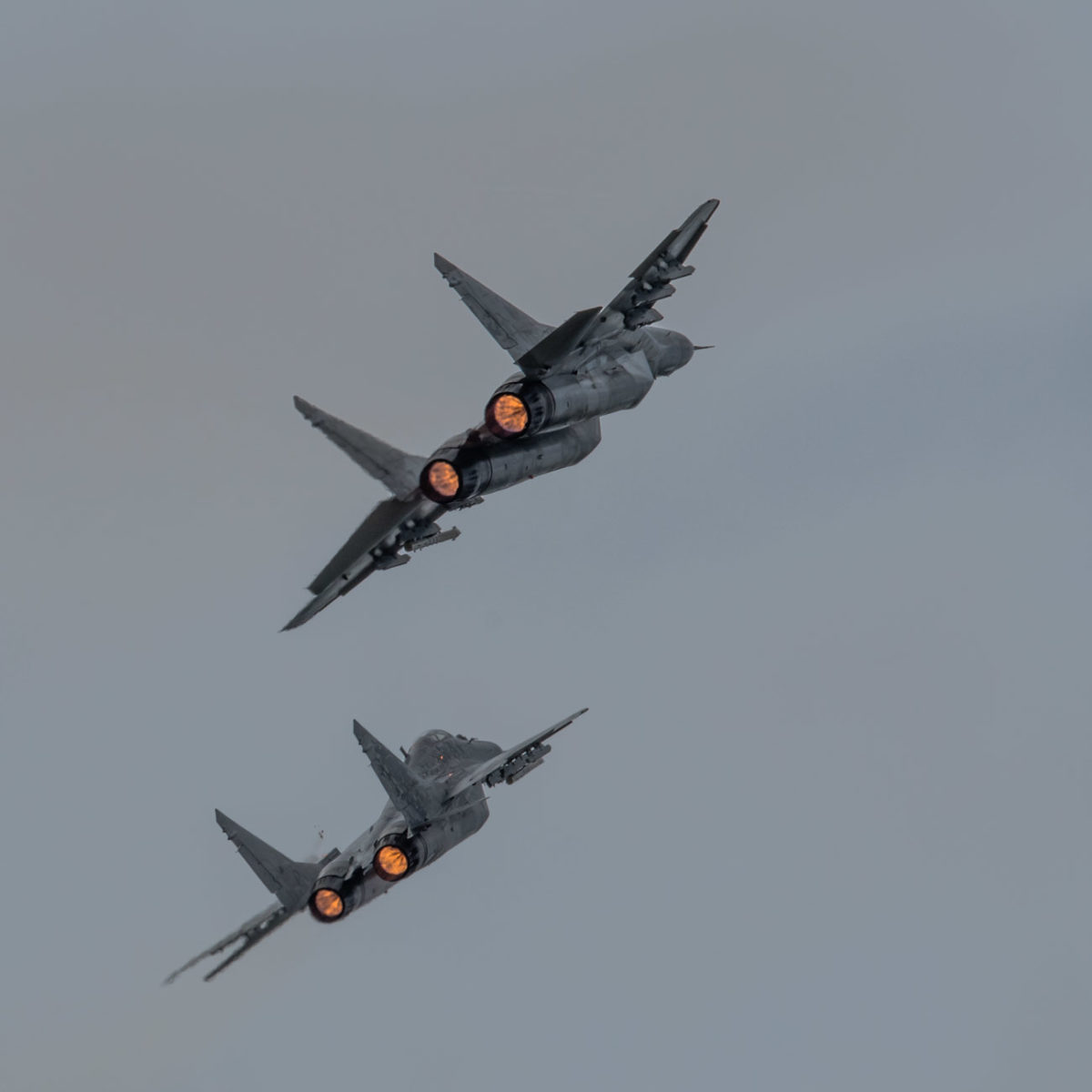19sierpień_siaf_2311