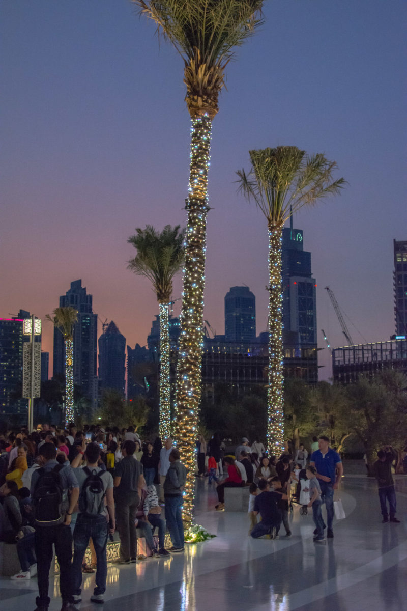 18grudzień_dubai_male_0223