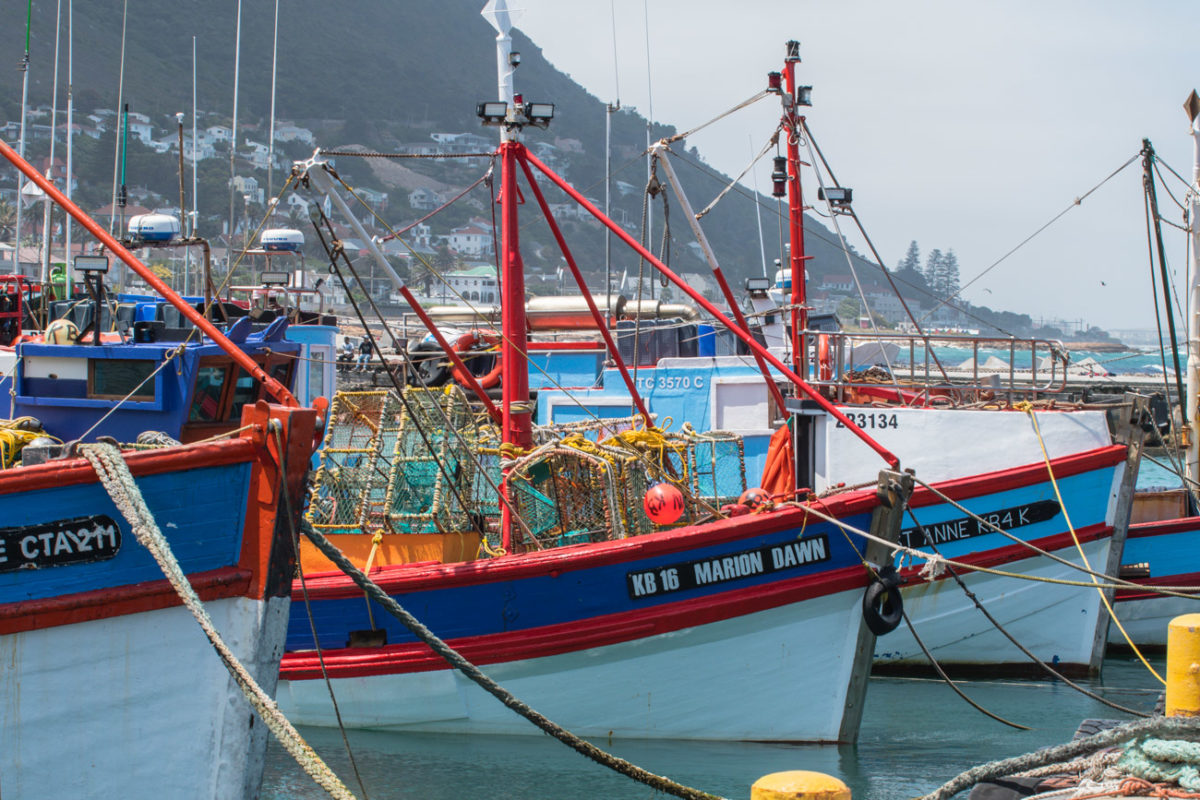 20styczeń_south africa_500_0022