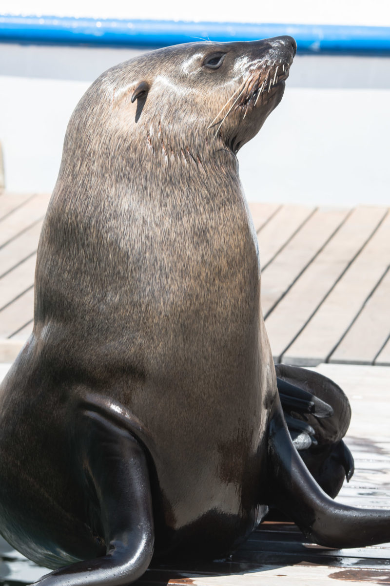 20styczeń_south africa_500_0397