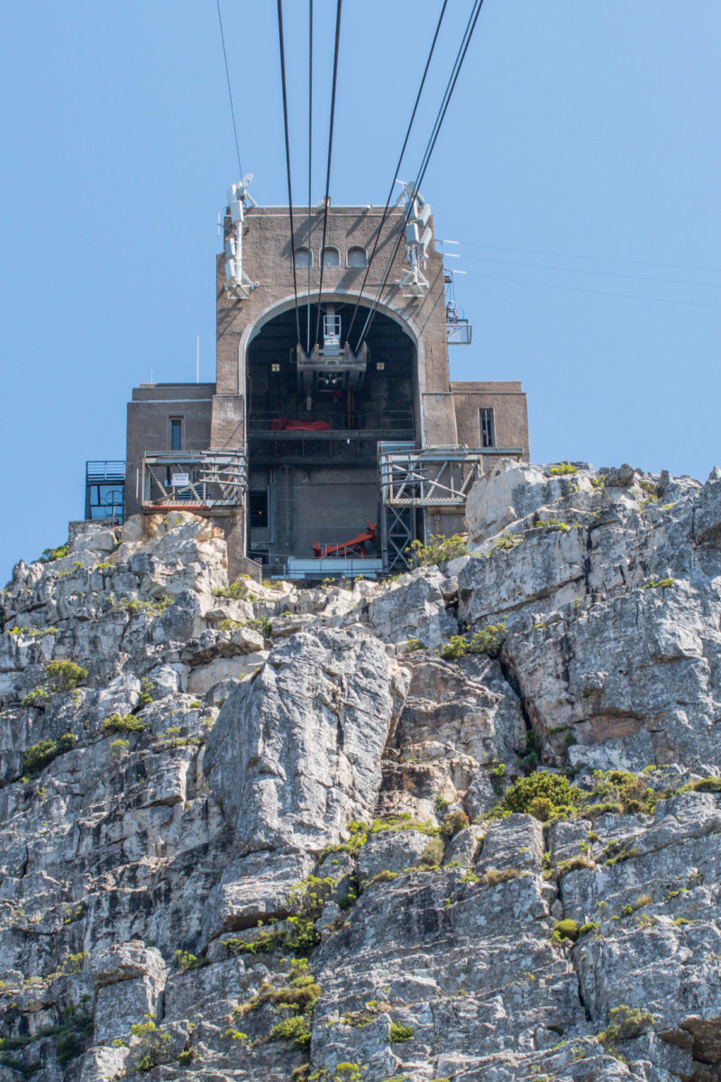20styczeń_south africa_500_0437