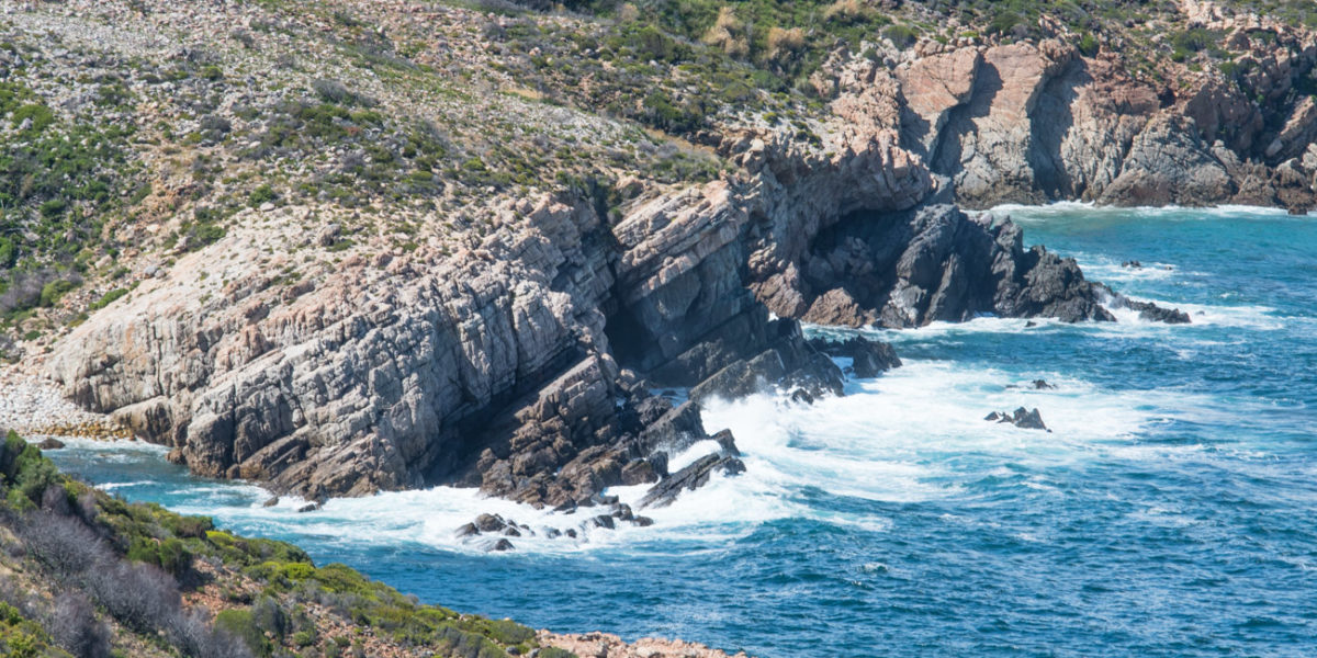 20styczeń_south africa_500_0678