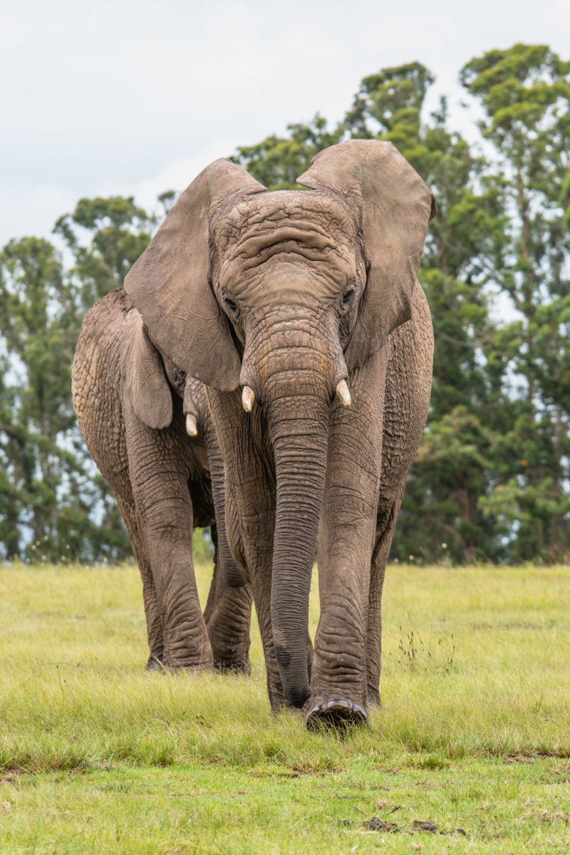 20styczeń_south africa_500_0814