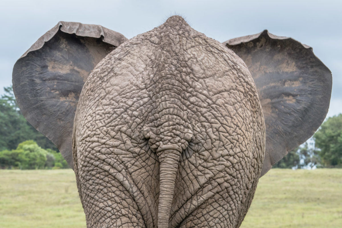20styczeń_south africa_500_0868