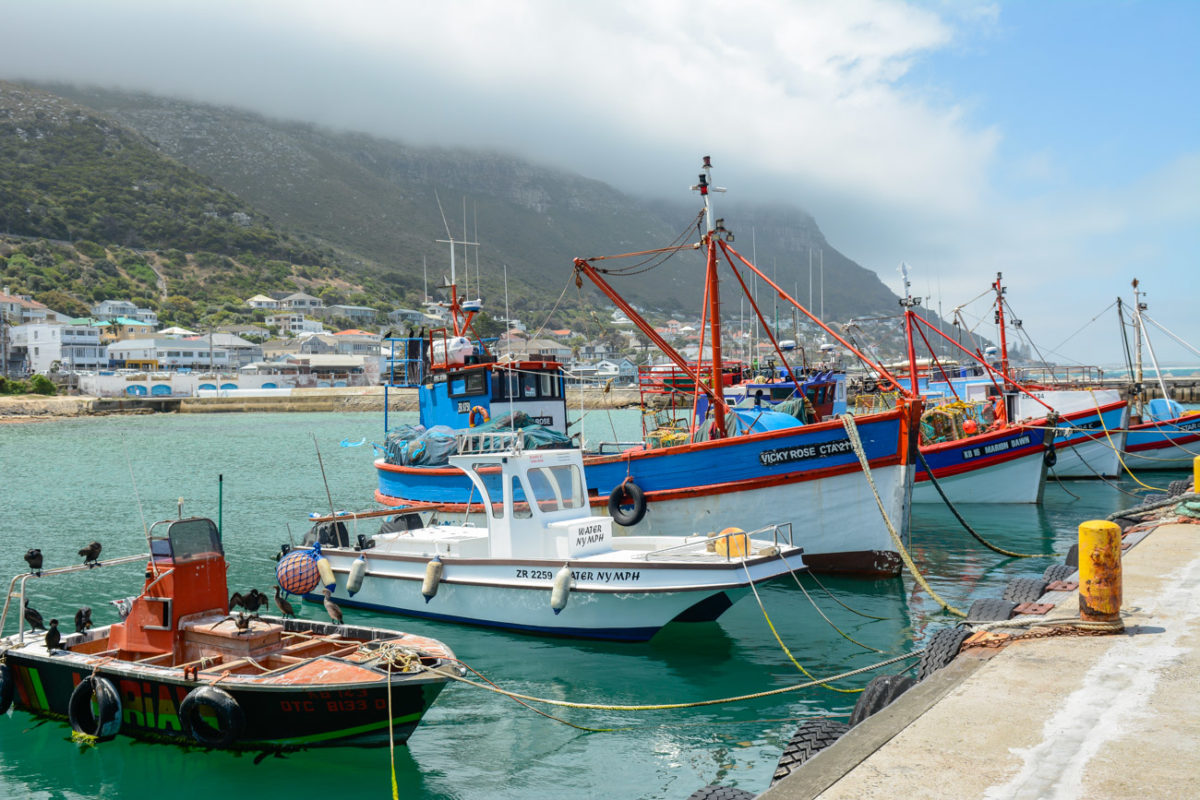 20styczeń_south africa_7100_0002