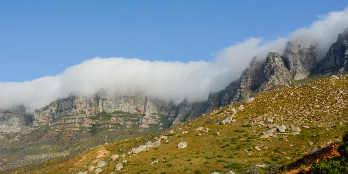 20styczeń_south africa_7100_0045