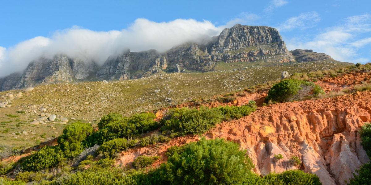 20styczeń_south africa_7100_0052