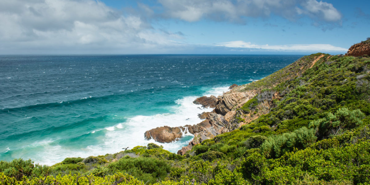 20styczeń_south africa_7100_0237