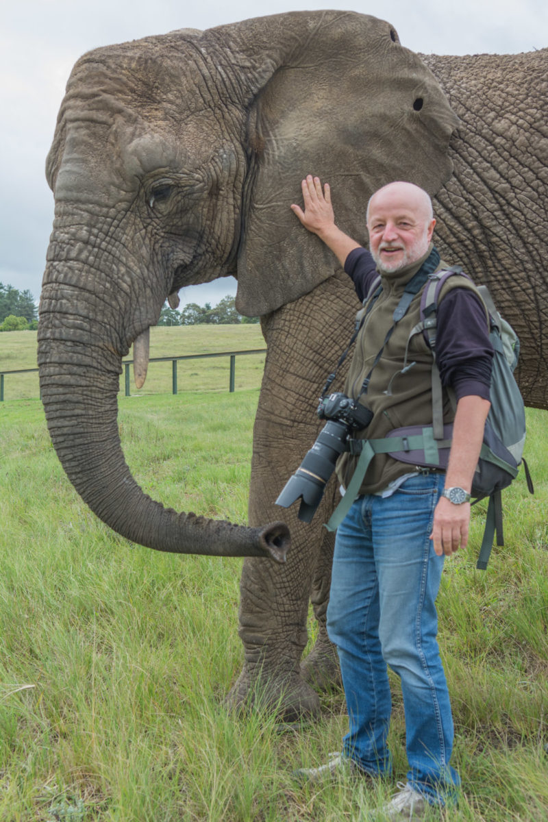Foto safari w RPA – I’2020 r.